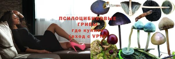 а пвп мука Алексеевка