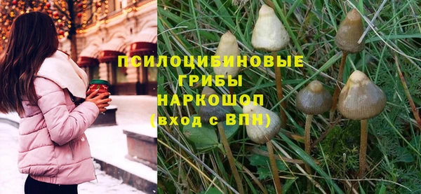 прущая мука Абдулино