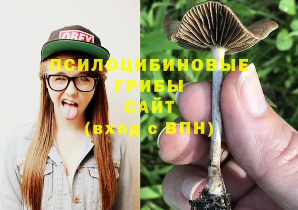 2c-b Алзамай