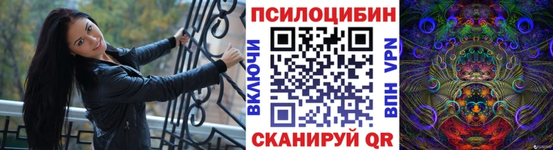 цены   Карасук  дарк нет наркотические препараты  Галлюциногенные грибы Magic Shrooms 
